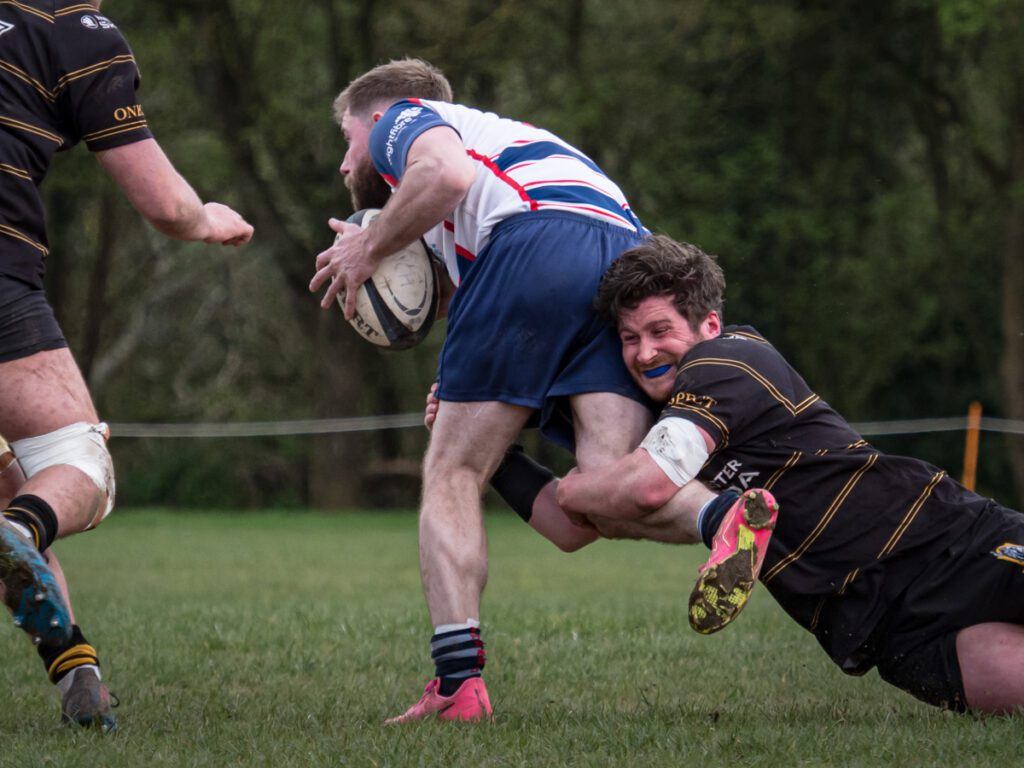 Winchester Rugby Club